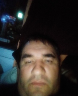 Кот — фото 2