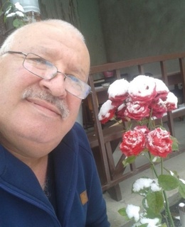 Гиви — фото 3